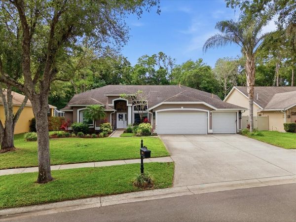10602 CHAMBERS DRIVE , TAMPA, FL 33626