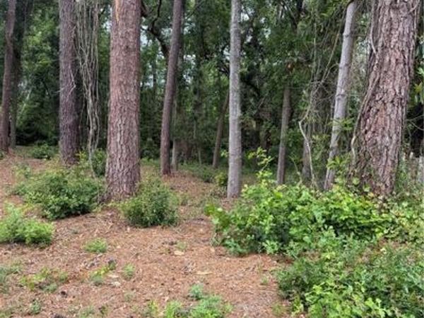 134 Palmera Lane, Brunswick, GA 31520