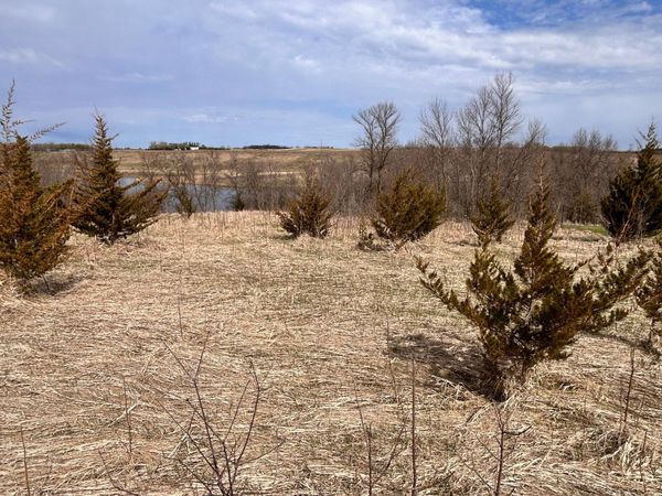 Lot 6 215th Street, Barrett, MN 56311