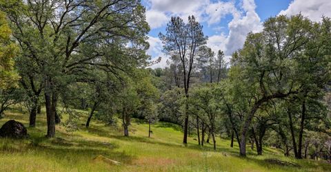 1480 Sage Rd, Colfax, CA 95713 Photo