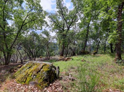 1480 Sage Rd, Colfax, CA 95713 Photo