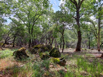 1480 Sage Rd, Colfax, CA 95713 Photo