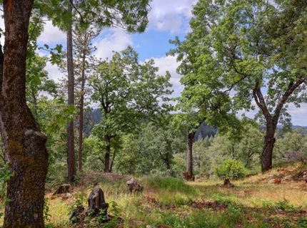 1480 Sage Rd, Colfax, CA 95713 Photo