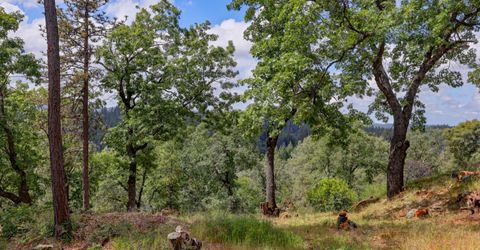 1480 Sage Rd, Colfax, CA 95713 Photo