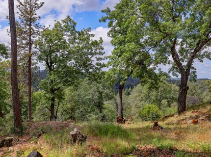 1480 Sage Rd, Colfax, CA 95713 Photo