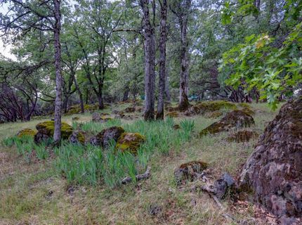 1480 Sage Rd, Colfax, CA 95713 Photo