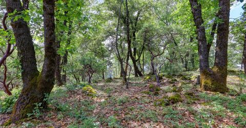 1480 Sage Rd, Colfax, CA 95713 Photo