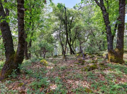 1480 Sage Rd, Colfax, CA 95713 Photo