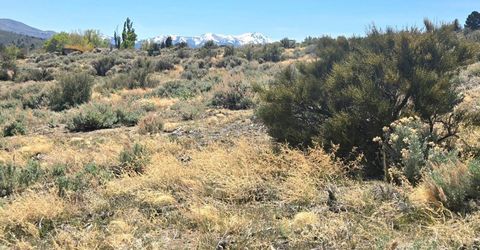 355 Shakehill Road, Markleeville, CA 96120 Photo