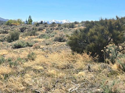 355 Shakehill Road, Markleeville, CA 96120 Photo