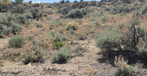 355 Shakehill Road, Markleeville, CA 96120 Photo