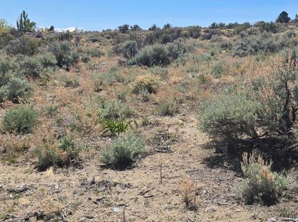 355 Shakehill Road, Markleeville, CA 96120 Photo