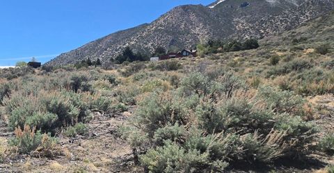 355 Shakehill Road, Markleeville, CA 96120 Photo