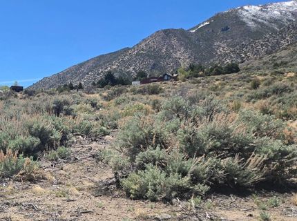 355 Shakehill Road, Markleeville, CA 96120 Photo