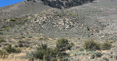355 Shakehill Road, Markleeville, CA 96120 Photo
