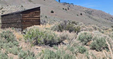 355 Shakehill Road, Markleeville, CA 96120 Photo
