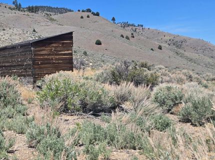 355 Shakehill Road, Markleeville, CA 96120 Photo