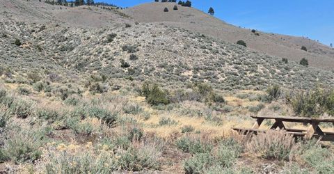 355 Shakehill Road, Markleeville, CA 96120 Photo