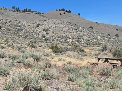 355 Shakehill Road, Markleeville, CA 96120 Photo