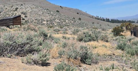 355 Shakehill Road, Markleeville, CA 96120 Photo