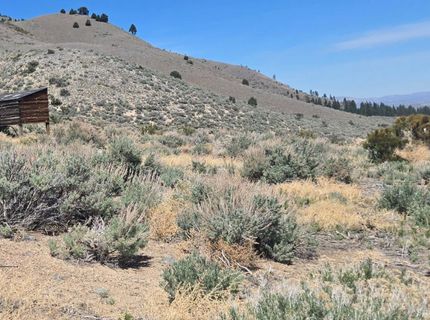 355 Shakehill Road, Markleeville, CA 96120 Photo