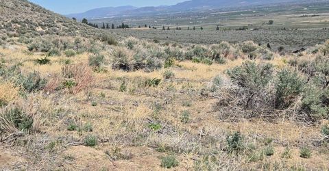 355 Shakehill Road, Markleeville, CA 96120 Photo