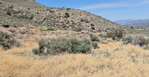 355 Shakehill Road, Markleeville, CA 96120 Photo