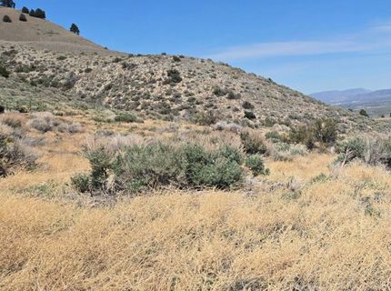 355 Shakehill Road, Markleeville, CA 96120 Photo