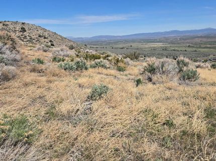 355 Shakehill Road, Markleeville, CA 96120 Photo