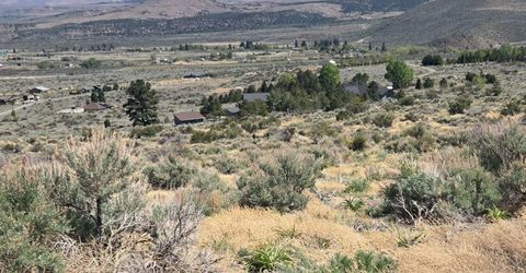 355 Shakehill Road, Markleeville, CA 96120 Photo