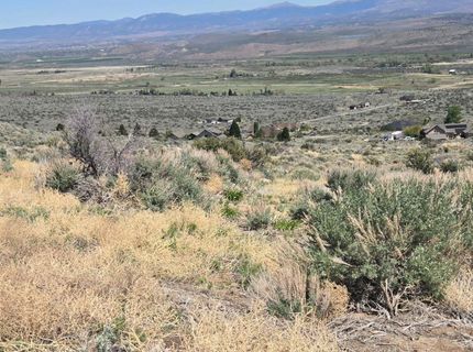 355 Shakehill Road, Markleeville, CA 96120 Photo