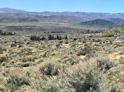 355 Shakehill Road, Markleeville, CA 96120 Photo
