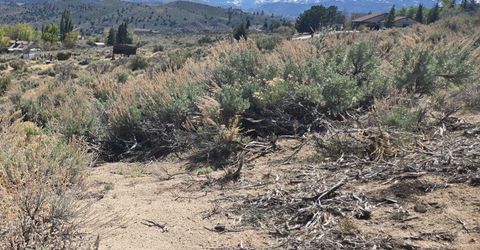 355 Shakehill Road, Markleeville, CA 96120 Photo