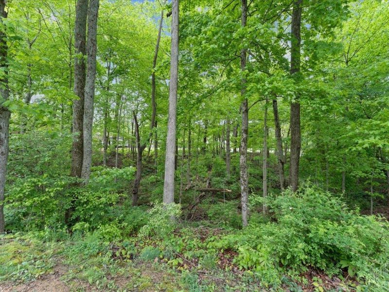 932 Waynoka Drive, Sardinia, OH 45171 Photo 52