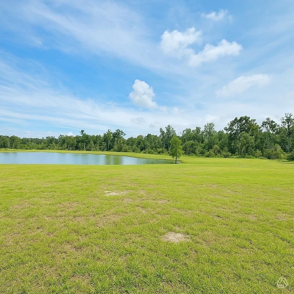 13118 Sassafras Trail, Parrish, FL 34219 Photo