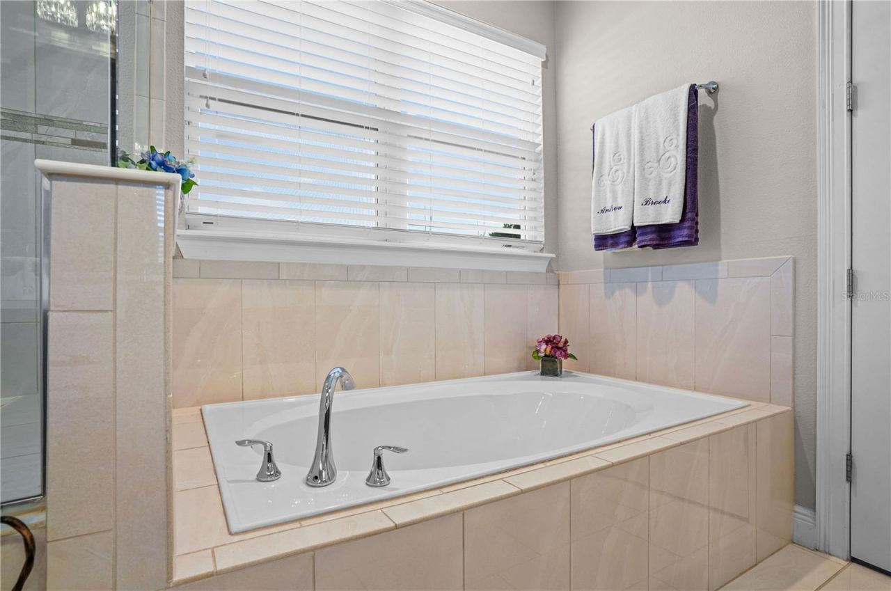 25863 Crossings Bluff Lane, Sorrento, FL 32776 Photo