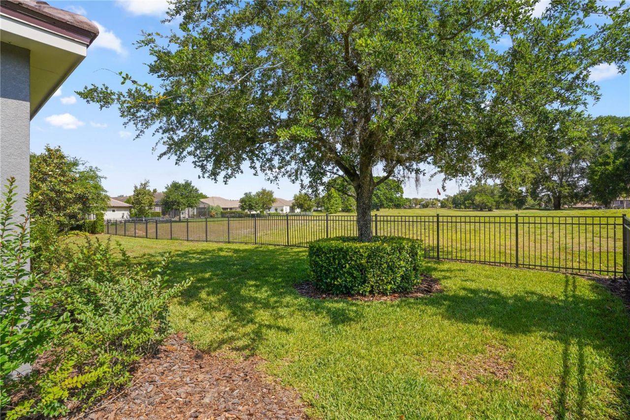 25863 Crossings Bluff Lane, Sorrento, FL 32776 Photo