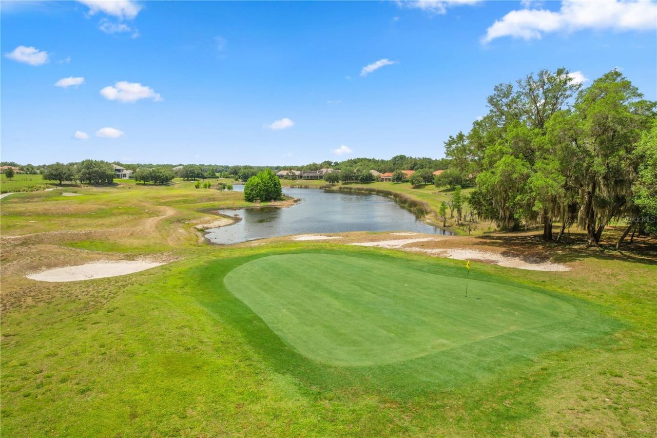 25863 Crossings Bluff Lane, Sorrento, FL 32776 Photo