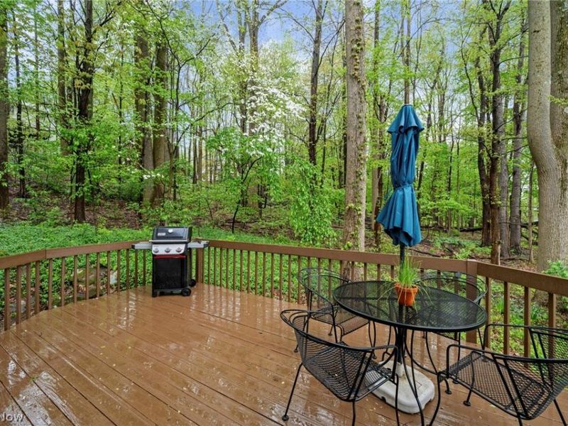 4542 Briarcliff Trail, Copley, OH 44321 Photo 39
