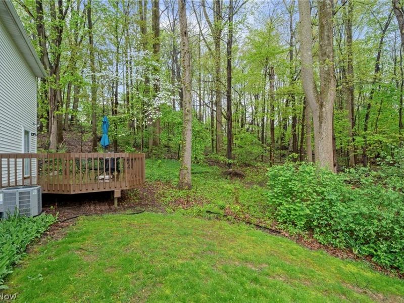 4542 Briarcliff Trail, Copley, OH 44321 Photo 40