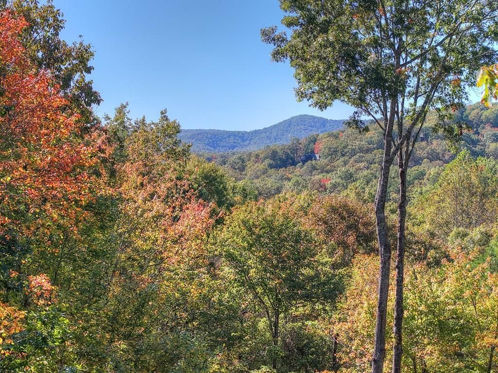 240 Lower Prince Mountain Road, Cherrylog, GA 30522 Main Photo