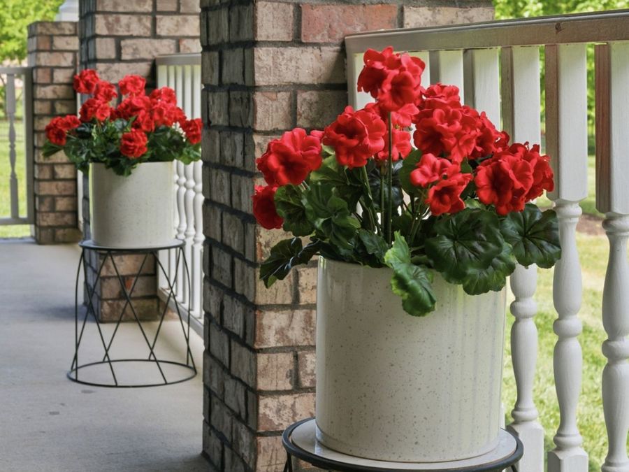 Property Image 59