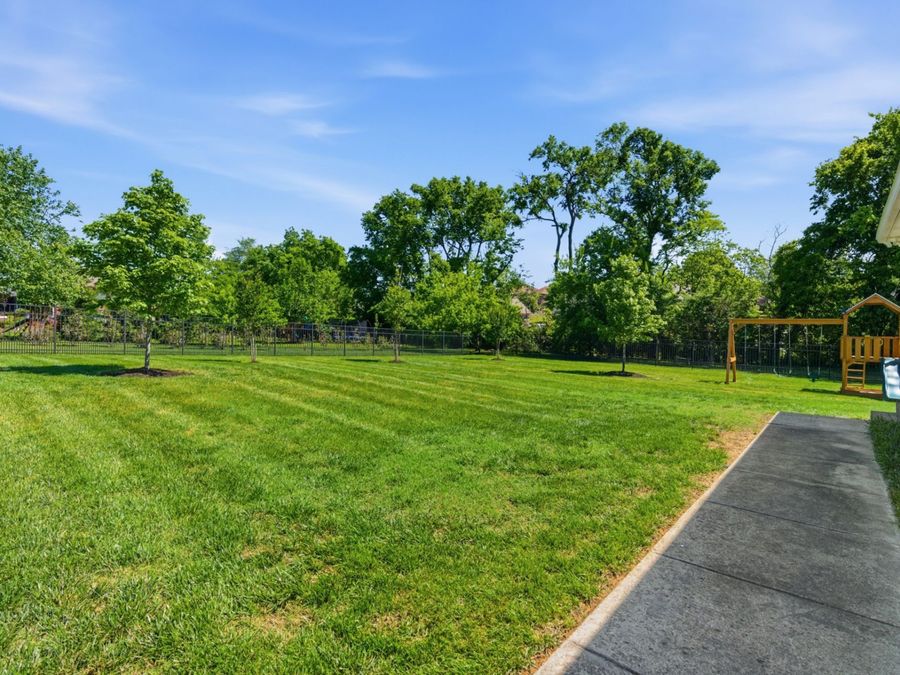 Property Image 60