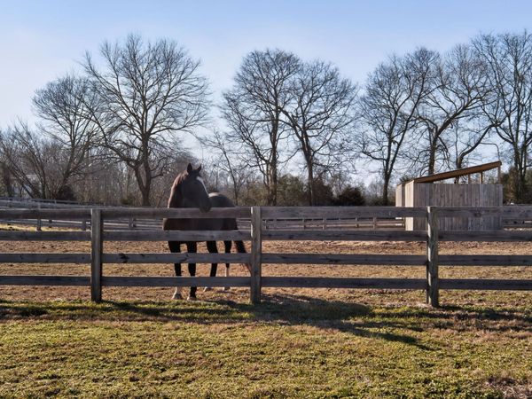 441 Matts Hollow Rd , Manchester, TN 37355