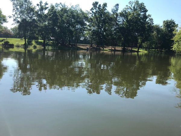894 Riverbend Drive , Dayton, TN 37321