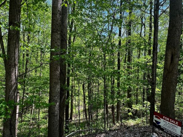 0 Lola Dr , Smithville, TN 37166