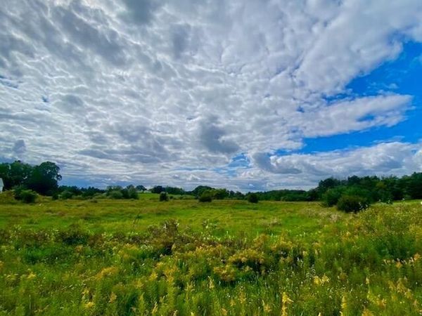 1900 Brookside Lane, Owosso, MI 48867