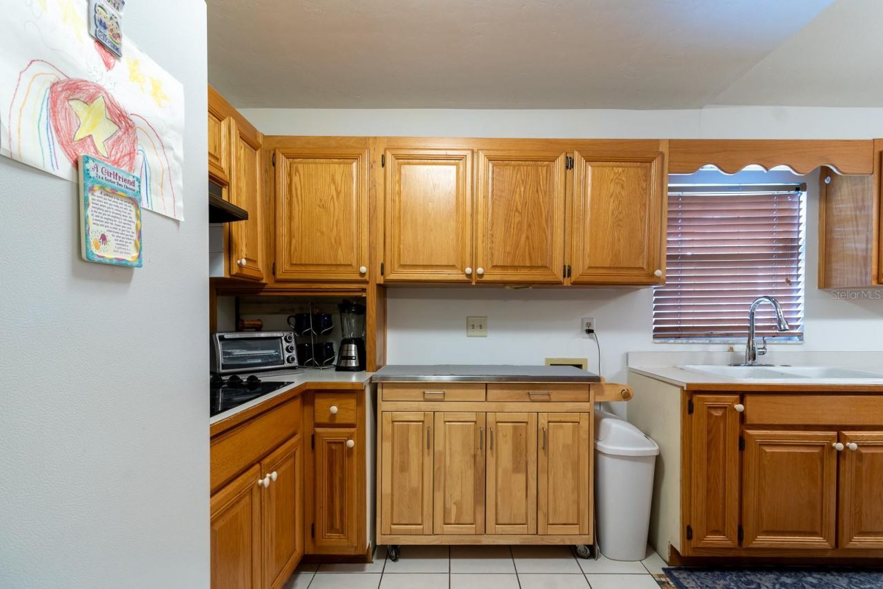 300 SW Brighton Court, Fort White, FL 32038 Photo
