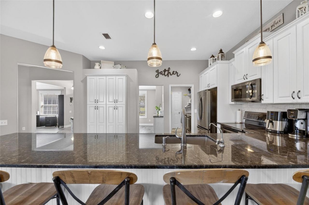 4409 Windmill Pointe Drive, Plant City, FL 33567 Photo