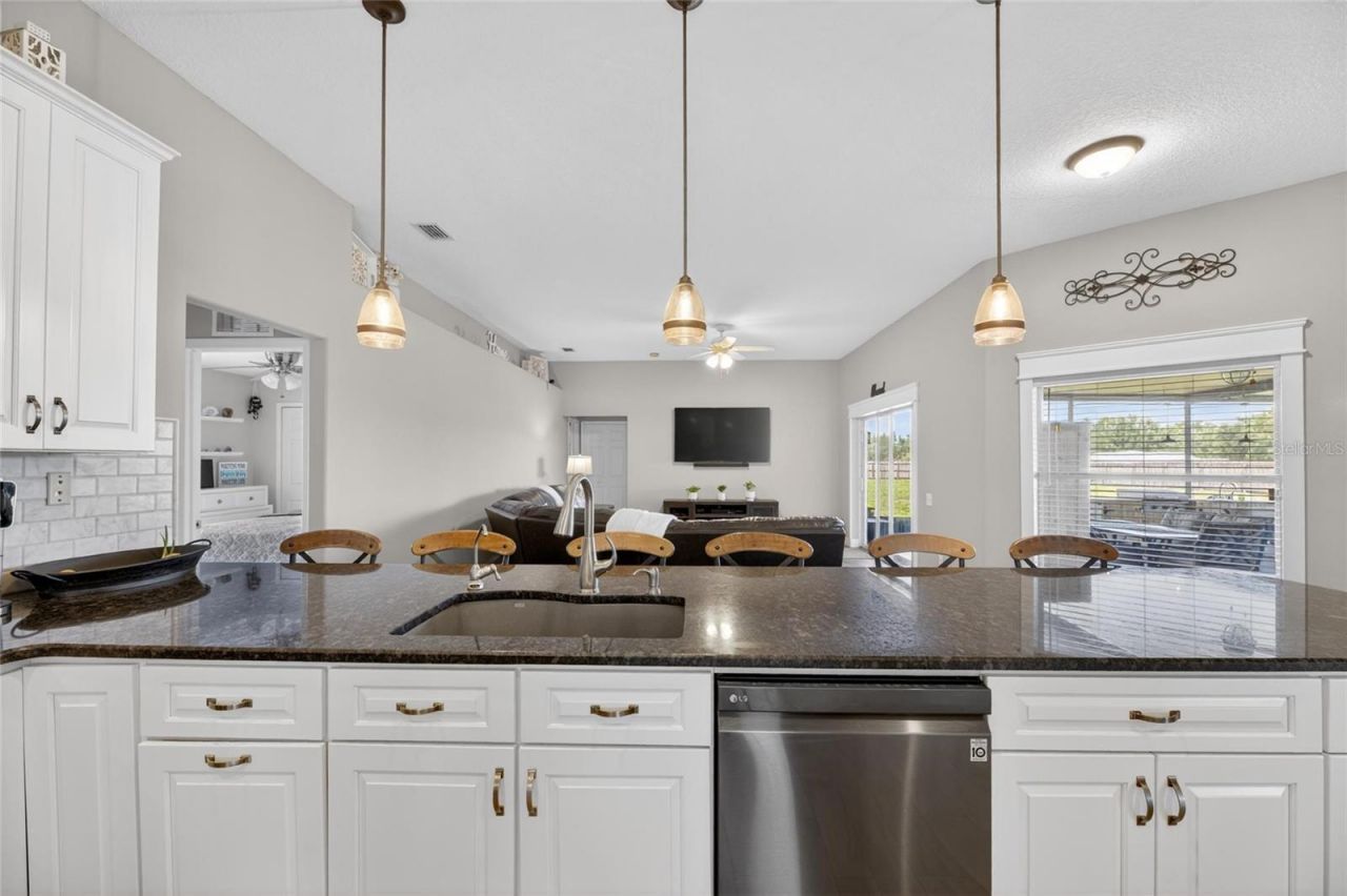 4409 Windmill Pointe Drive, Plant City, FL 33567 Photo